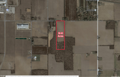 Edison Rd (New Carlisle) 50.63 Acres VL