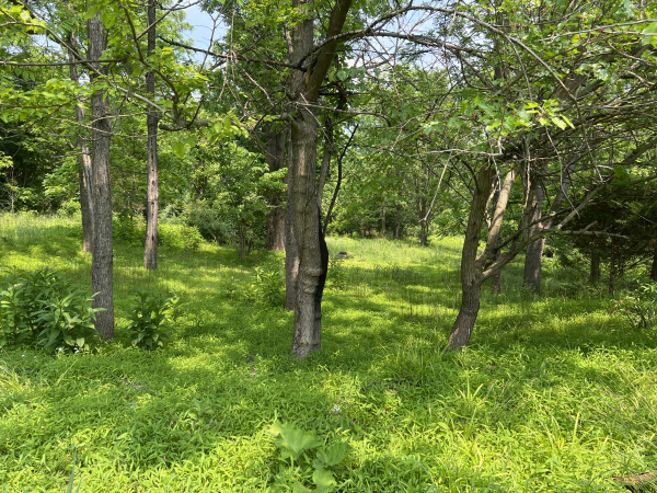 3111 S. Walnut Street Pike