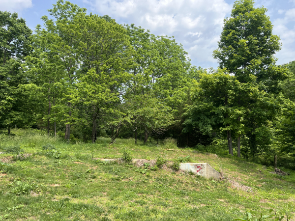 3111 S. Walnut Street Pike