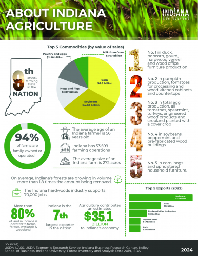 Agricultural Or Processing Plant For Sale