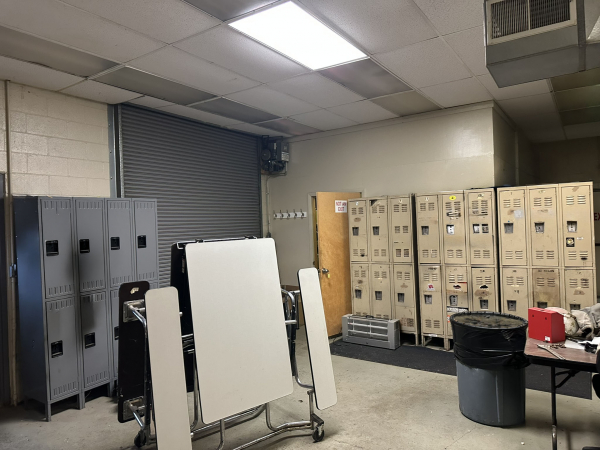 Agricultural Or Processing Plant For Sale