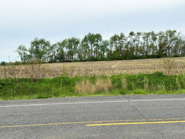 Pine Road & Old US 30 Land 